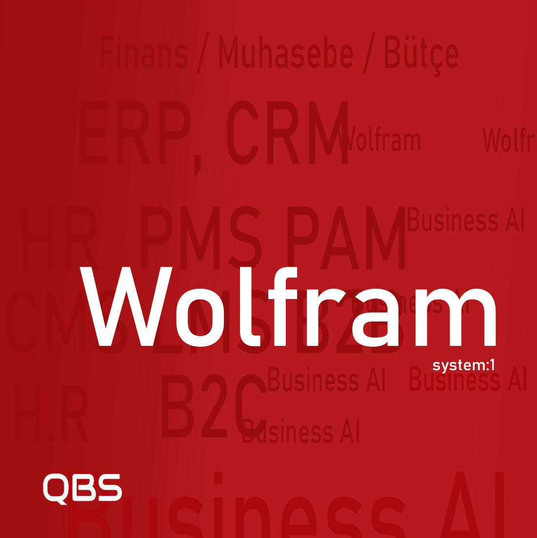 Wolfram ERP